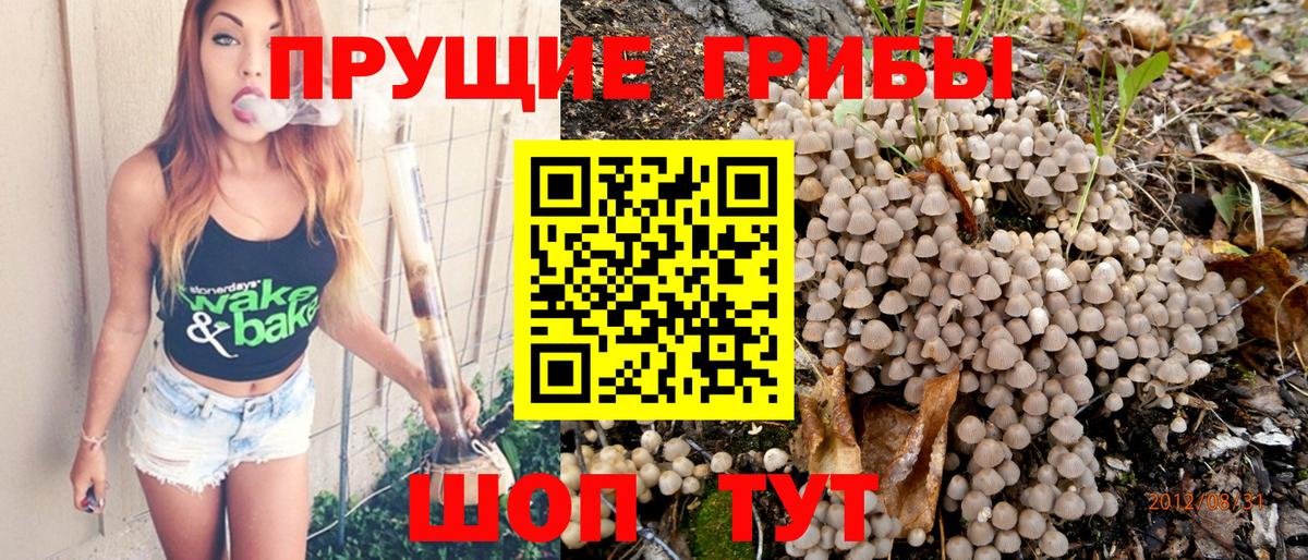 Галлюциногенные грибы прущие грибы Хасавюрт