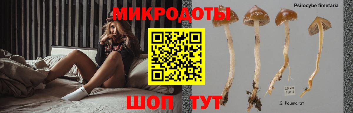 Галлюциногенные грибы мухоморы  Вход с VPN  где купить наркотик  Хасавюрт  Галлюциногенные грибы Cubensis 